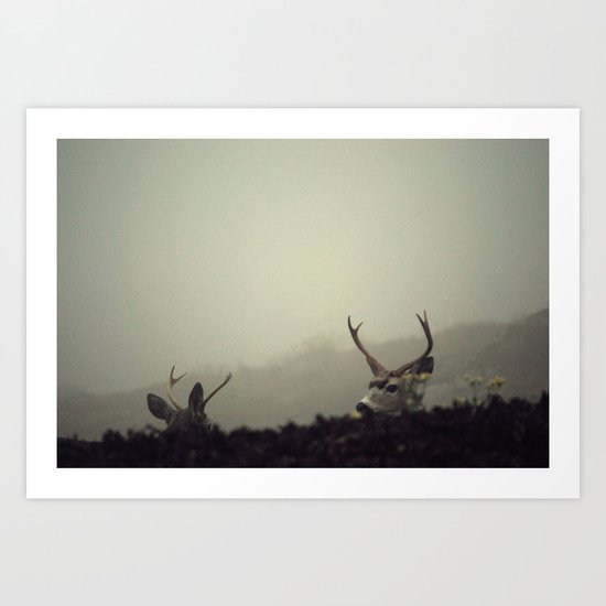 Eye in the Sky Art Print
