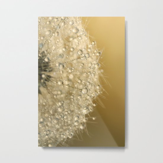 Sun Sparkled Dandy Metal Print