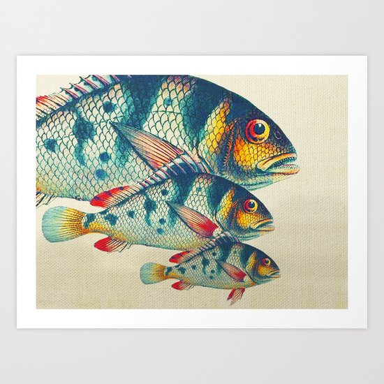 Fish Classic Designs 3 Art Print