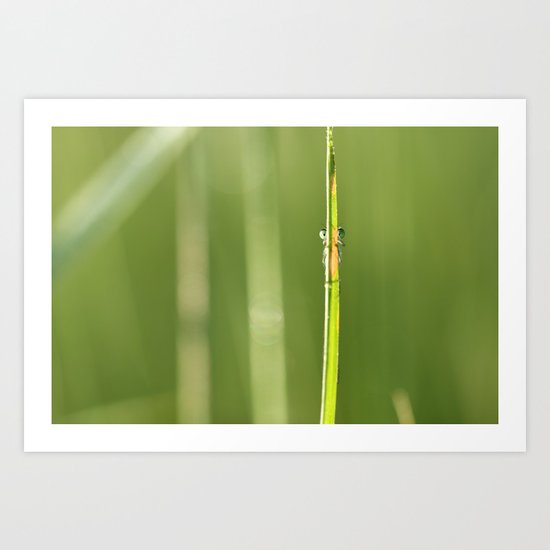 dragonfly is watching you Art Print