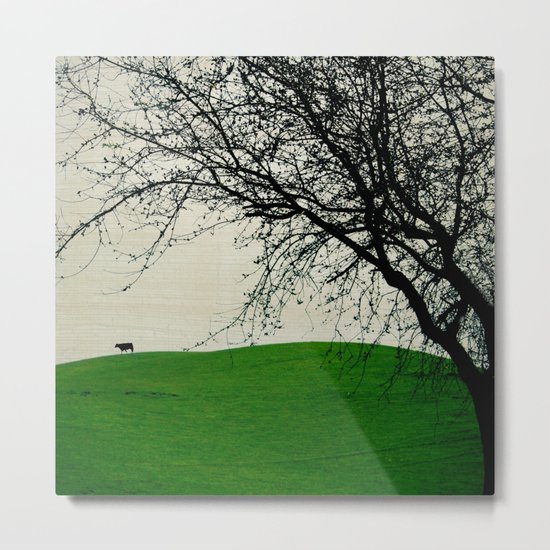 The Black Cow Metal Print