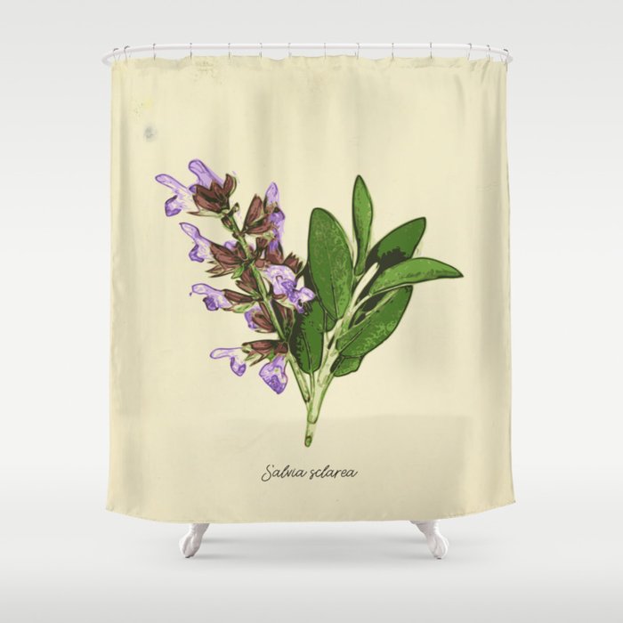 Vintage Botanical Print Clary Sage, Purple And Sage Green Shower Curtain