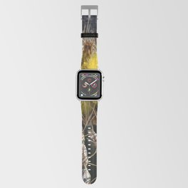 Mexico Photography - Beautiful Barrel Cactus Up-Close Apple Watch Band