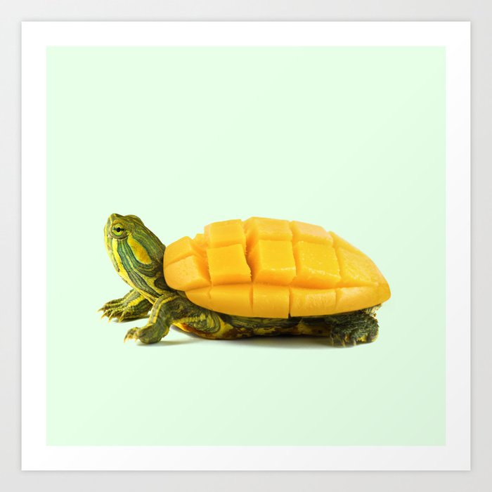 Mango turtle bag online