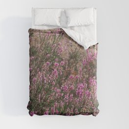 Dutch Heather field - Nature in the Netherlands - Posbank, Veluwe - Purple flower image Duvet Cover