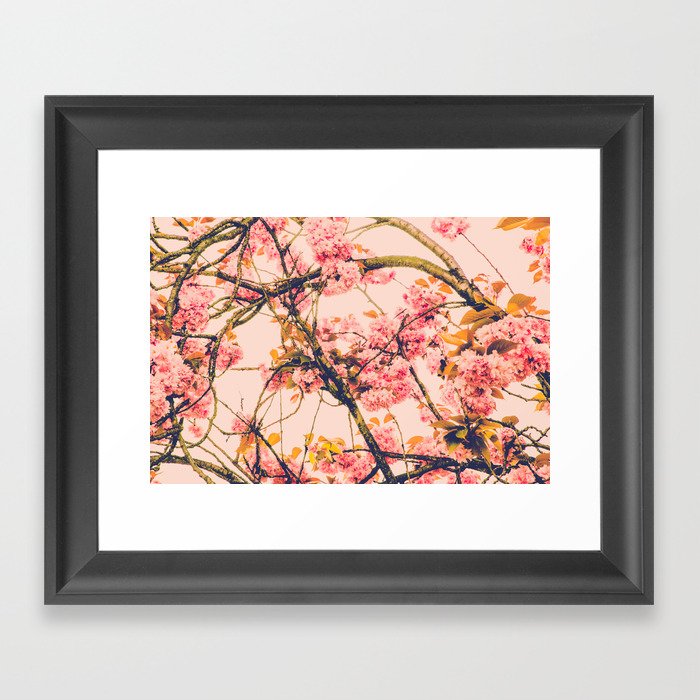 sweet sweet cherry blossoms Framed Art Print