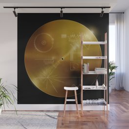 Voyager Golden Record Wall Mural
