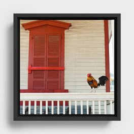 Key West Rooster Framed Canvas