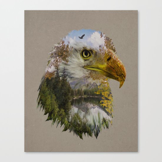 The American Bald Eagle Canvas Print