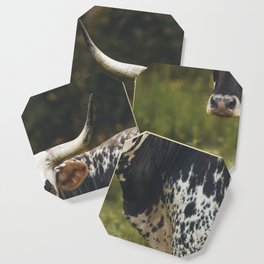 Momma Cow Coaster