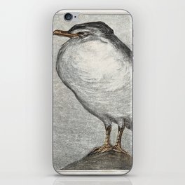 Sleeping Seagull iPhone Skin