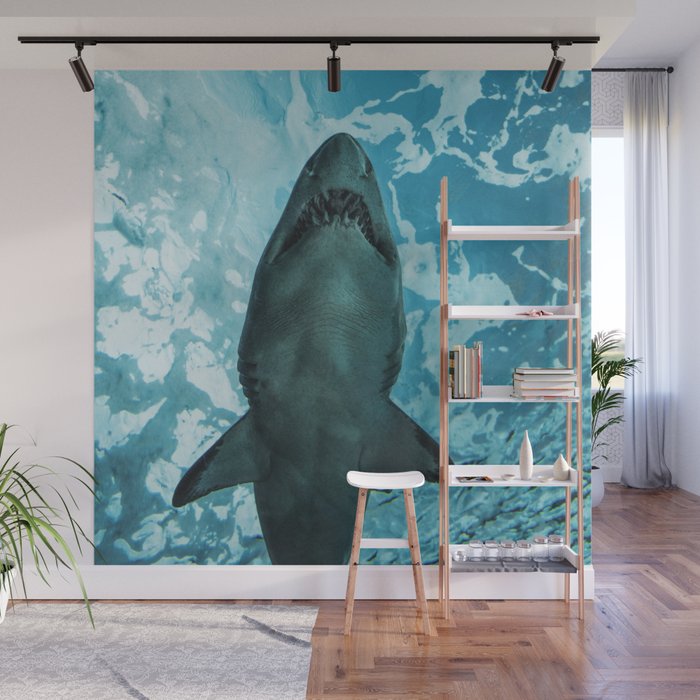 Shark Photography Deep Sea Ocean Art Wildlife Nature Fish Wall Mural By Wildhood