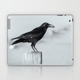 American Crow Laptop Skin