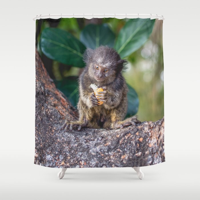 Brazil Photography - Monkey Eating On A Branch Shower Curtain