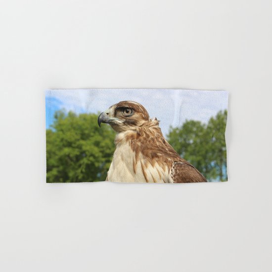 Red Tailed Hawk Hand & Bath Towel