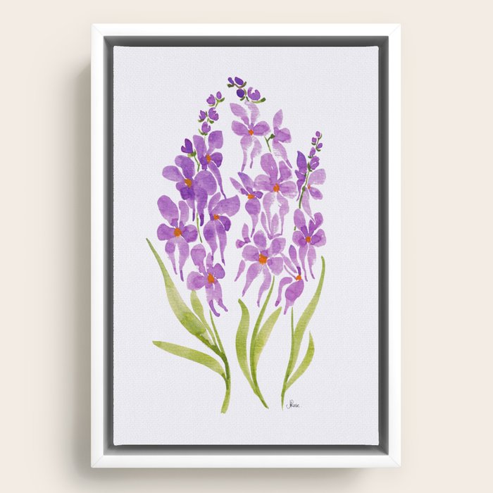 Framed Canvas