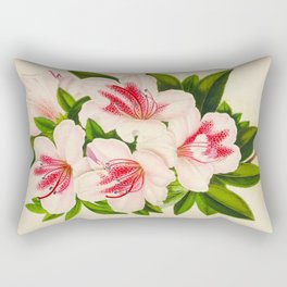 Azalea Indica Vintage Botanical Floral Flower Plant Scientific Illustration Rectangular Pillow