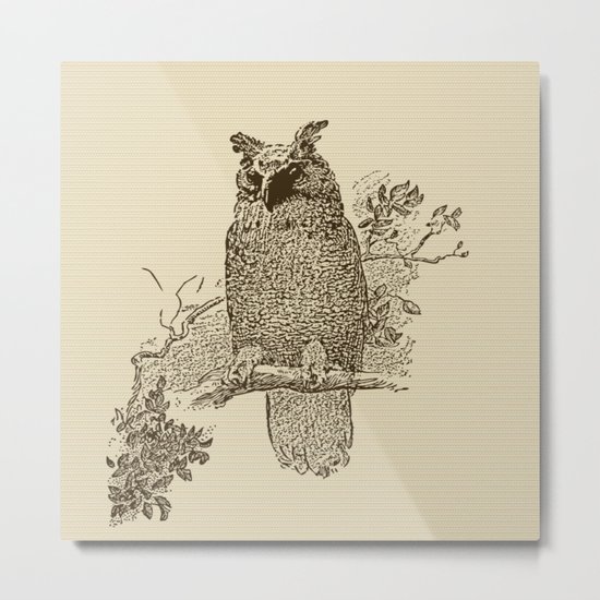 Vintage Owl Metal Print