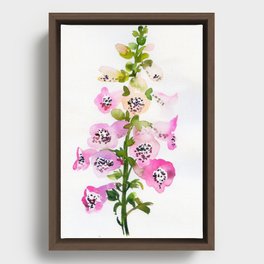 foxglove in watercolor Framed Canvas