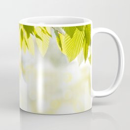 Elm green leaves and blurred space Coffee Mug