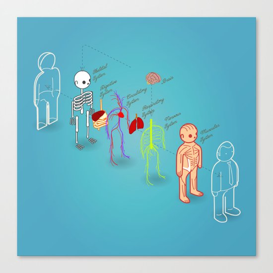 anatomy exploded Canvas Print