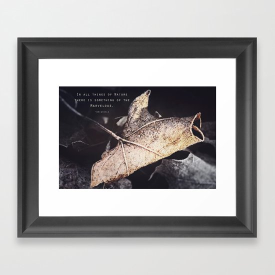 Something of the Marvelous Framed Art Print