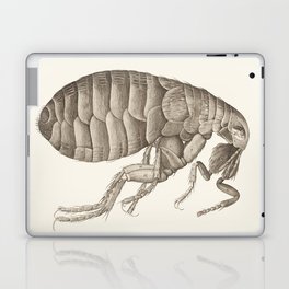 Vintage Flea Engraving Laptop Skin