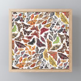 Saturniid Moths of North America Pattern Framed Mini Art Print