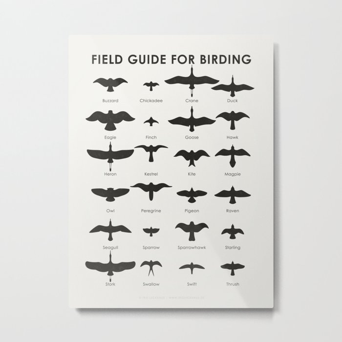 Field Guide for Birding Identification Chart Metal Print