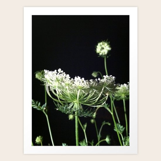 Night Walk Art Print