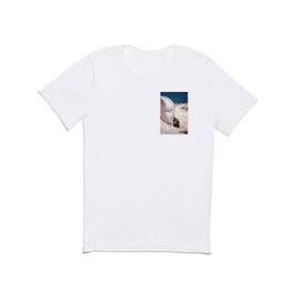 Questioner of the ancient Egyptian Sphinx - voyage down the nile landscape painting by Elihu Vedder T Shirt