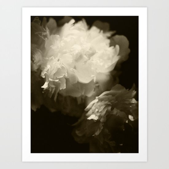 party dress peonies Art Print