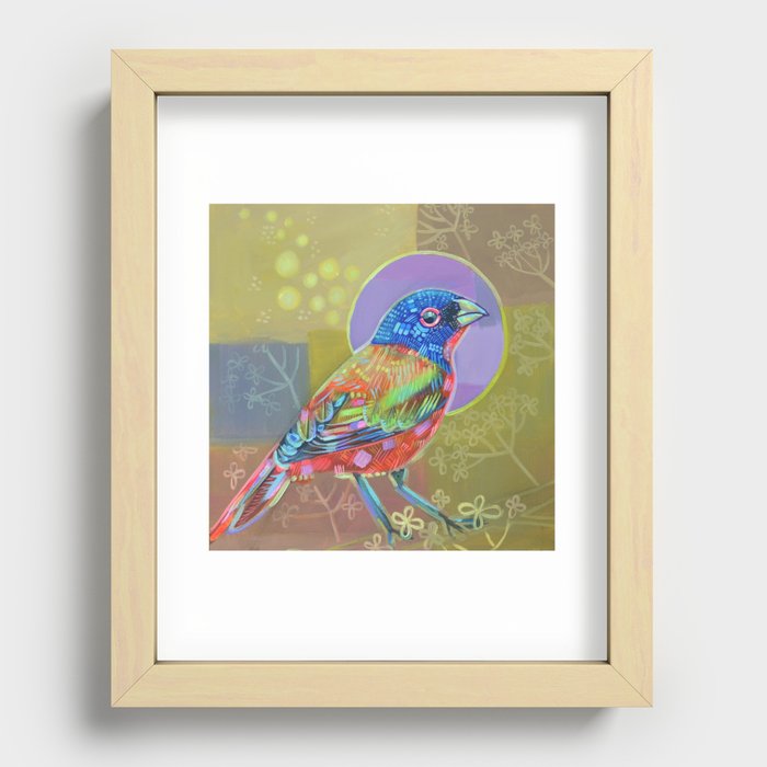 painted bunting Recessed Framed Print