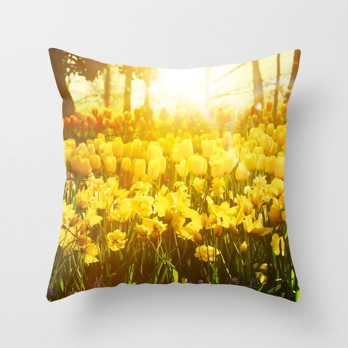 Throw Pillow