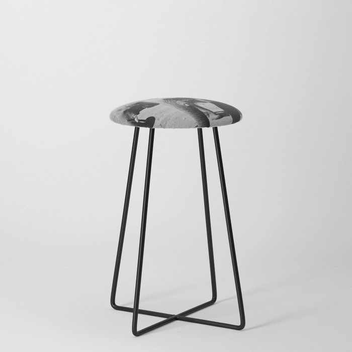 Elephant duo in black & white Counter Stool