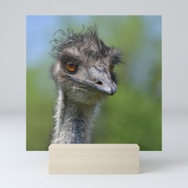 Australia Photography - A Happy Ostrich Mini Art Print
