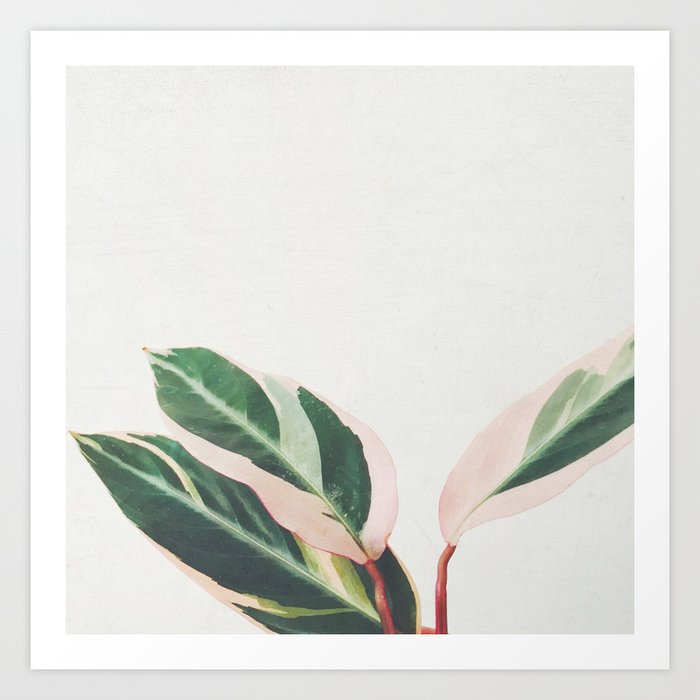 Pink Leaves III Art Print