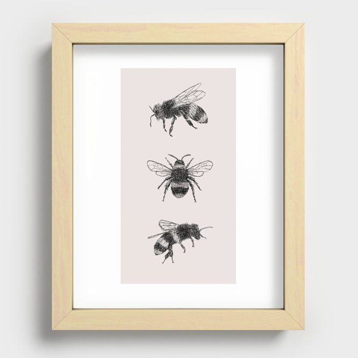 Three Bees Recessed Framed Print
