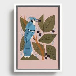 Blue Jay And Berries Framed Canvas