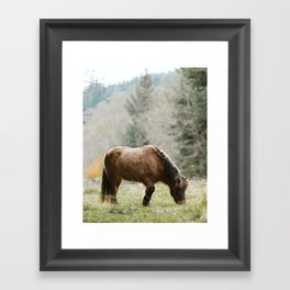 Horses #19 Framed Art Print
