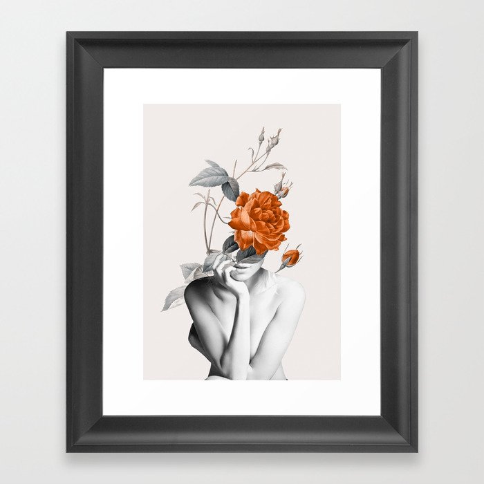 Rose 3 Framed Art Print