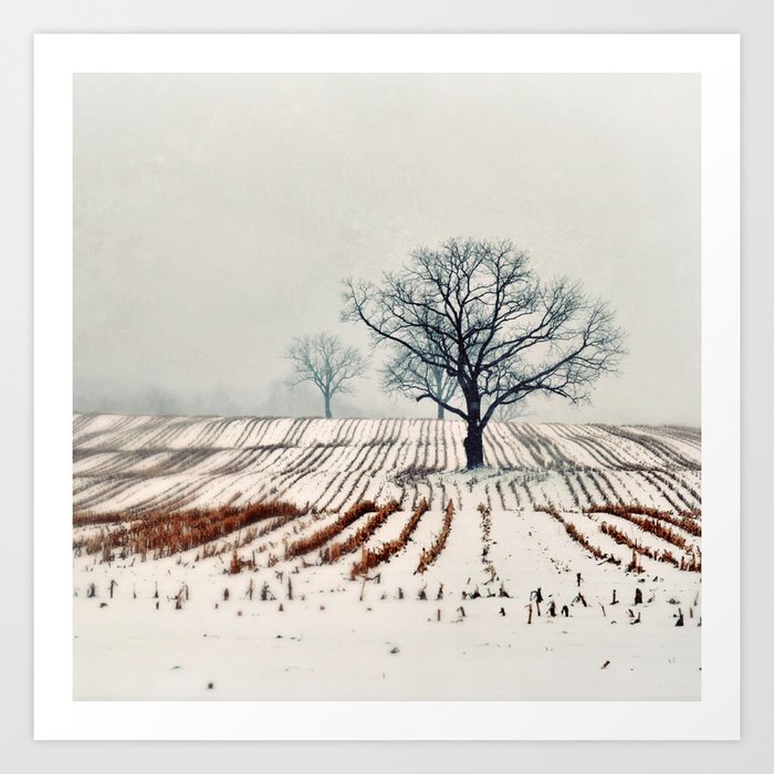 Winter Farm Art Print