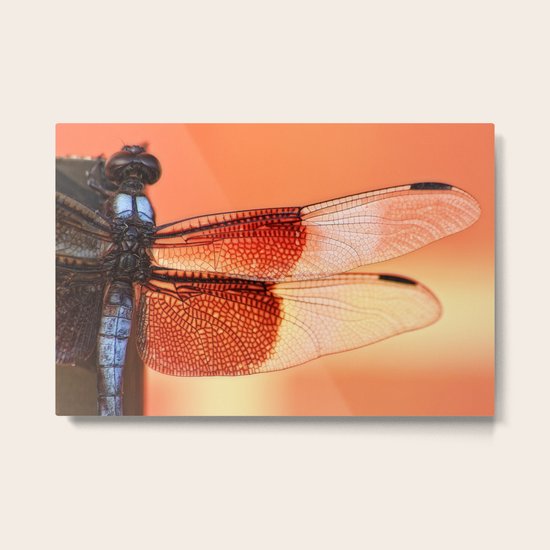 Stained Glass Metal Print