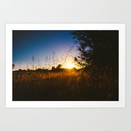 Color Field Art Prints Society6