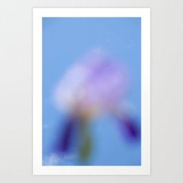 blue lily Art Print