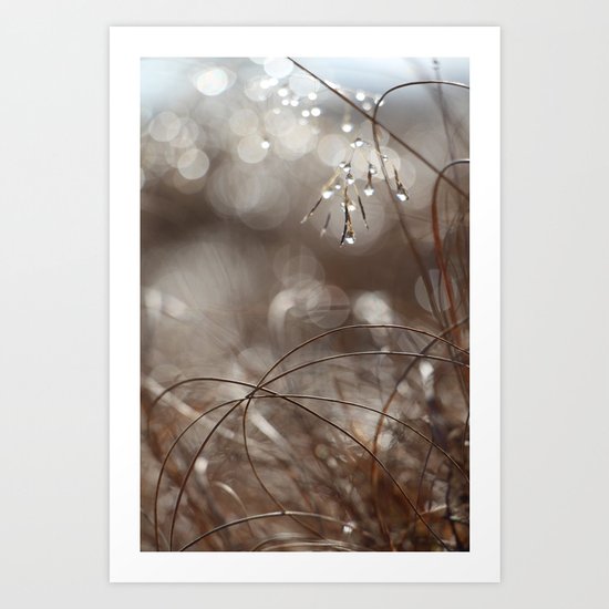 Pure Morning II Art Print