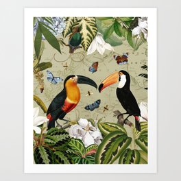 Vintage Toucan Botanical Rainforest Art Print