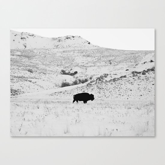 Black and White Bison Canvas Print