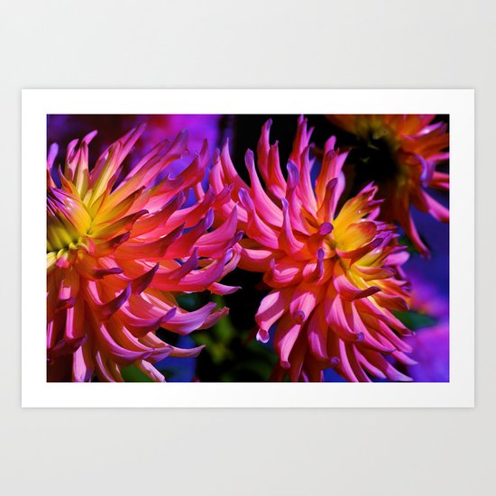 Flowers in the Moon Light Art Print