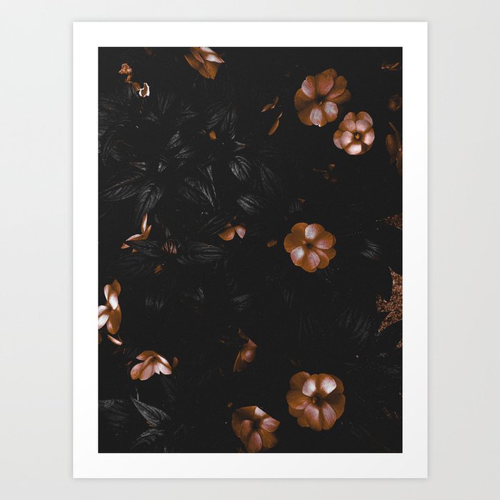 moody floral Art Print